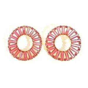 J Crew New bezeled Stone Round Earrings